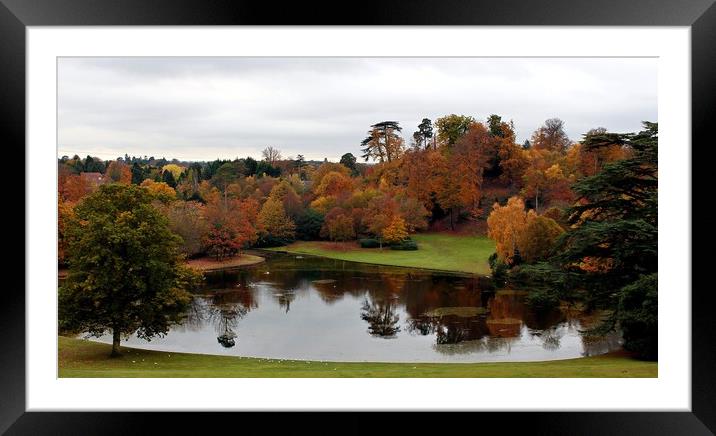 Autumn Reflections Framed Mounted Print by laurence hyde