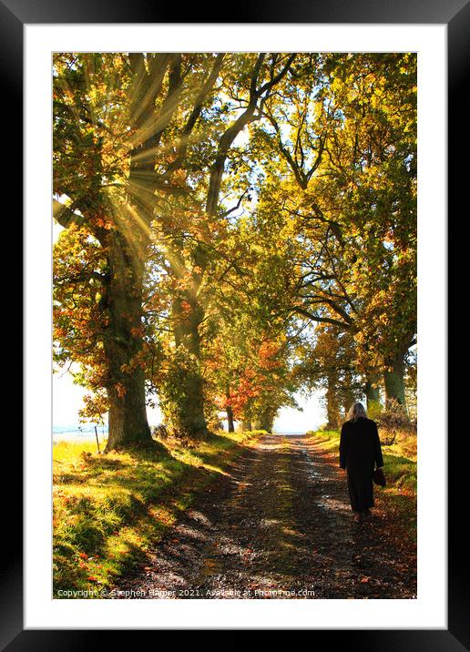 Autumn Morning Walk Framed Mounted Print by Stephen Hamer