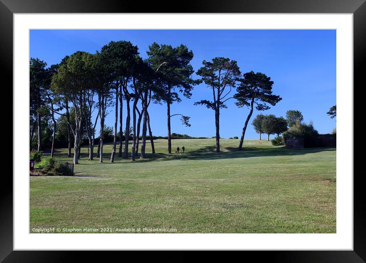 Walking the Dogs Framed Mounted Print by Stephen Hamer