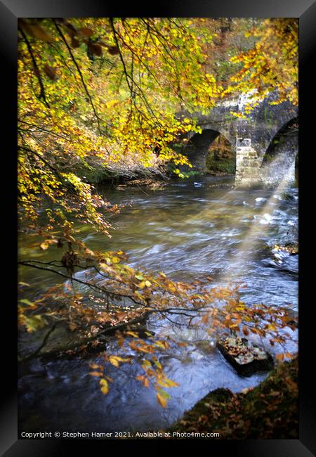 River Dart in Autumn Framed Print by Stephen Hamer