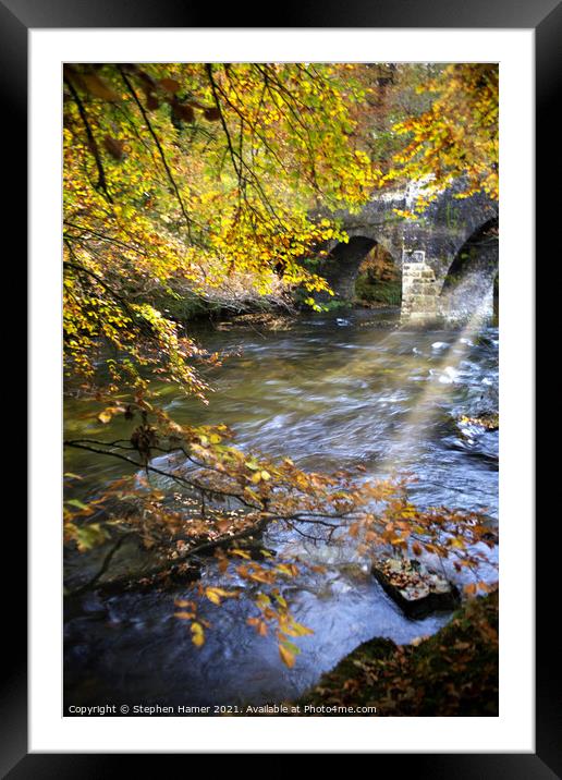 River Dart in Autumn Framed Mounted Print by Stephen Hamer