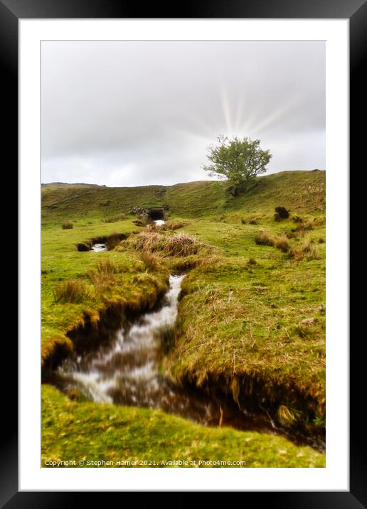 Dartmoor Leat Framed Mounted Print by Stephen Hamer
