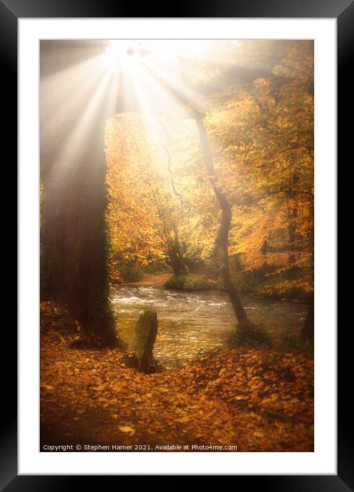 Autumn Light Framed Mounted Print by Stephen Hamer
