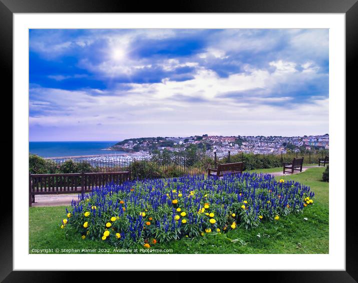 Brixham Flower Bed Framed Mounted Print by Stephen Hamer