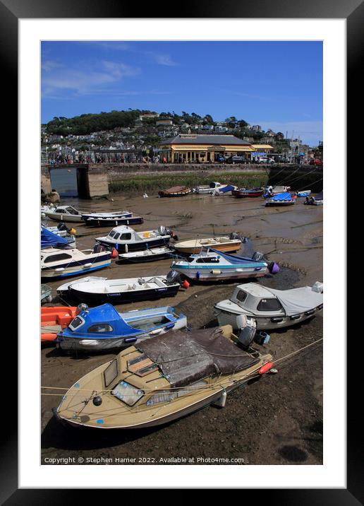 Dartmouth Harbour and  Railway Station Framed Mounted Print by Stephen Hamer