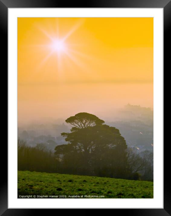 Radiant Scots Pine in Misty Morning Framed Mounted Print by Stephen Hamer