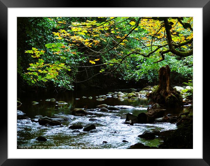 Autumnal River Scene Framed Mounted Print by Stephen Hamer