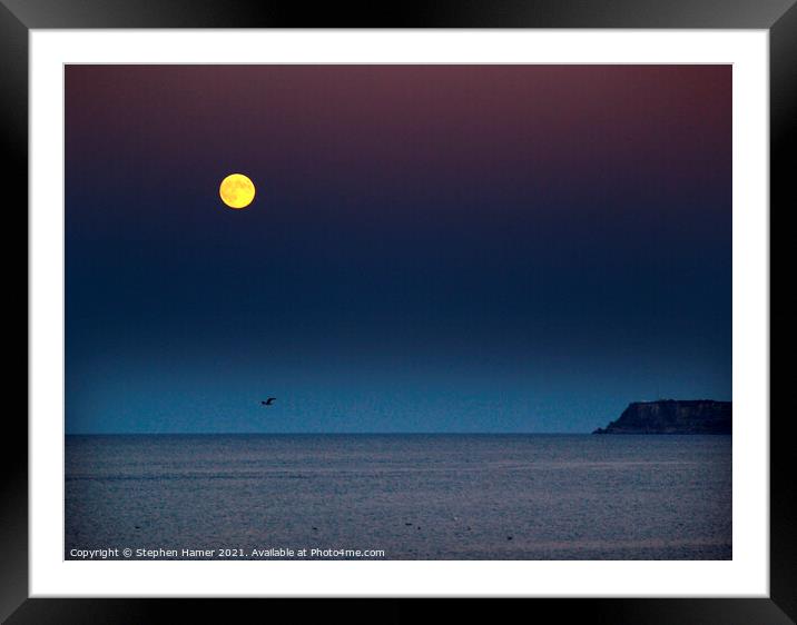Full Moon and Berry Head Framed Mounted Print by Stephen Hamer