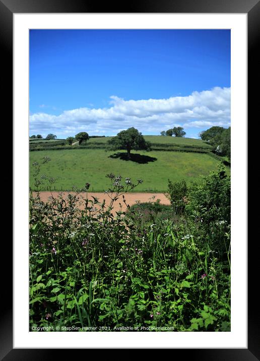 Shade of the Tree Framed Mounted Print by Stephen Hamer