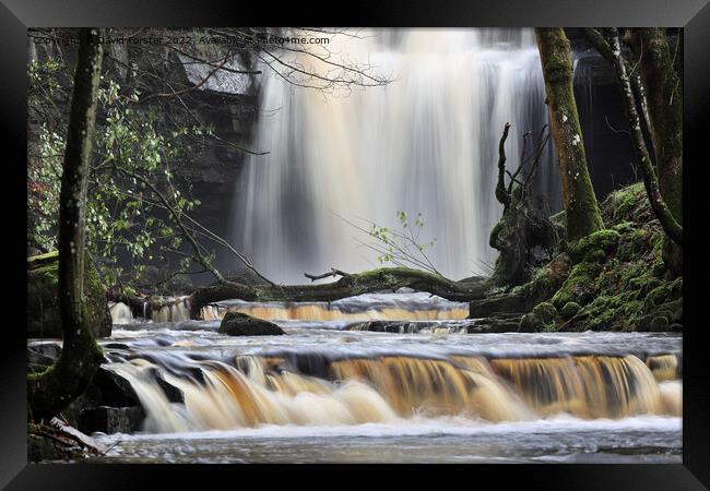 Summerhill Force, Bowlees, Upper Teesdale, County Durham, UK Framed Print by David Forster