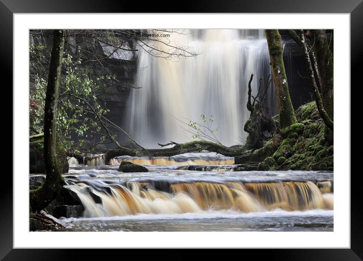 Summerhill Force, Bowlees, Upper Teesdale, County Durham, UK Framed Mounted Print by David Forster