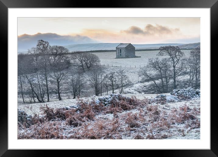 Frosty Winter Morning in the North Pennines, Teesdale, UK Framed Mounted Print by David Forster