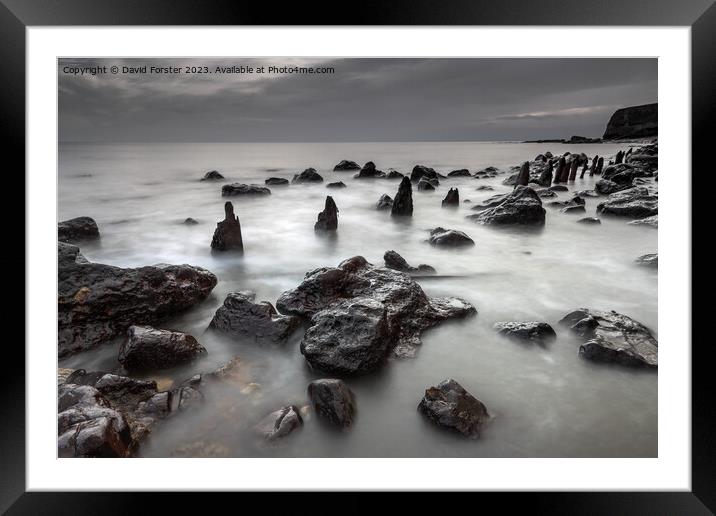 Weather Worn Groynes on the Durham Heritage Coast, Seaham, UK Framed Mounted Print by David Forster