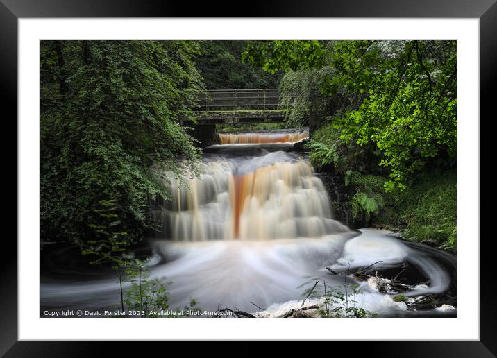 Blackling Hole Waterfall, Hamsterley Forest, County Durham, UK Framed Mounted Print by David Forster