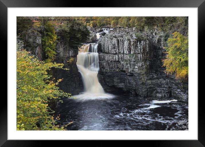 High Force Waterfall in Autumn, Teesdale, County,  Framed Mounted Print by David Forster