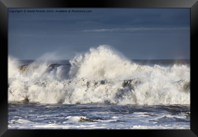 Stormy seas in the wake of Storm Henk, Seaham, Cou Framed Print by David Forster