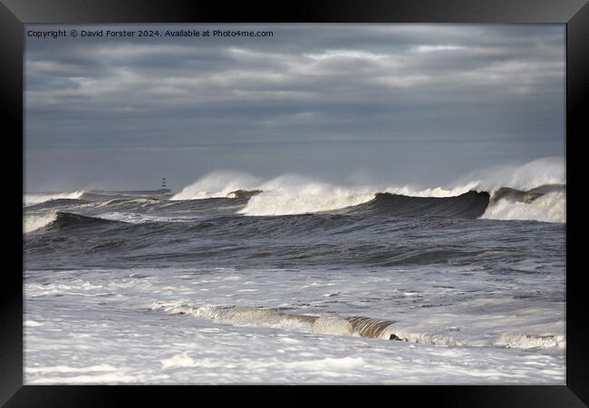 Stormy Seas, Seaham, County Durham, UK Framed Print by David Forster