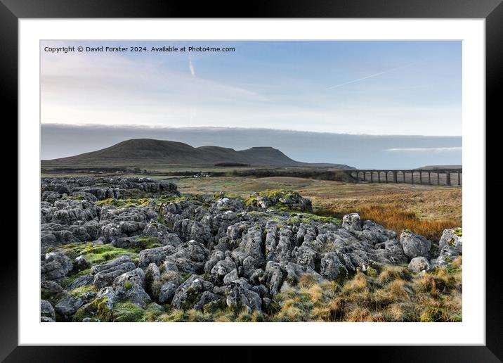 The Ribblehead Viaduct and Ingleborough, Yorkshire Framed Mounted Print by David Forster