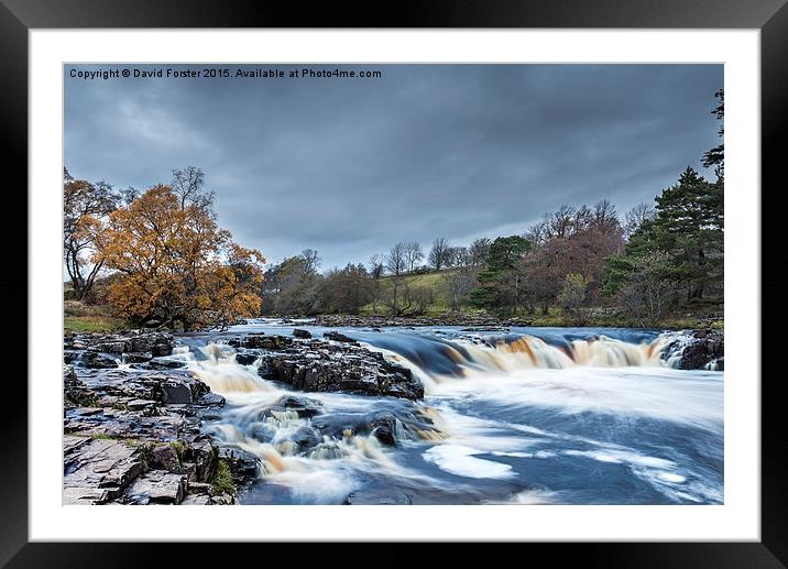 Autumn Colour Low Force Waterfall Teesdale Framed Mounted Print by David Forster