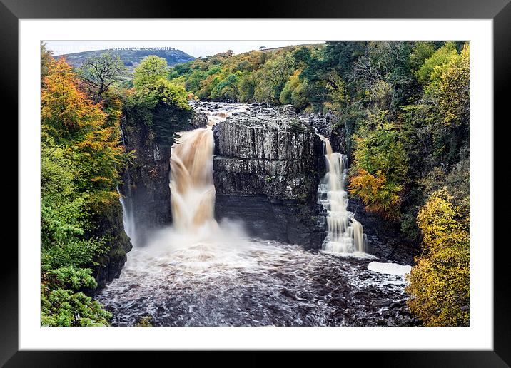 High Force Teesdale County Durham England Framed Mounted Print by David Forster
