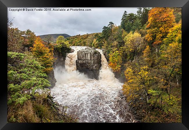 High Force Upper Teesdale County Durham England Framed Print by David Forster