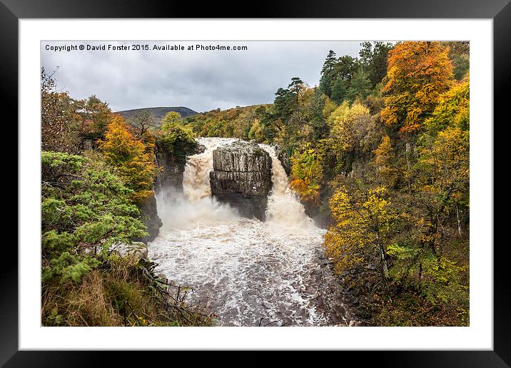 High Force Upper Teesdale County Durham England Framed Mounted Print by David Forster