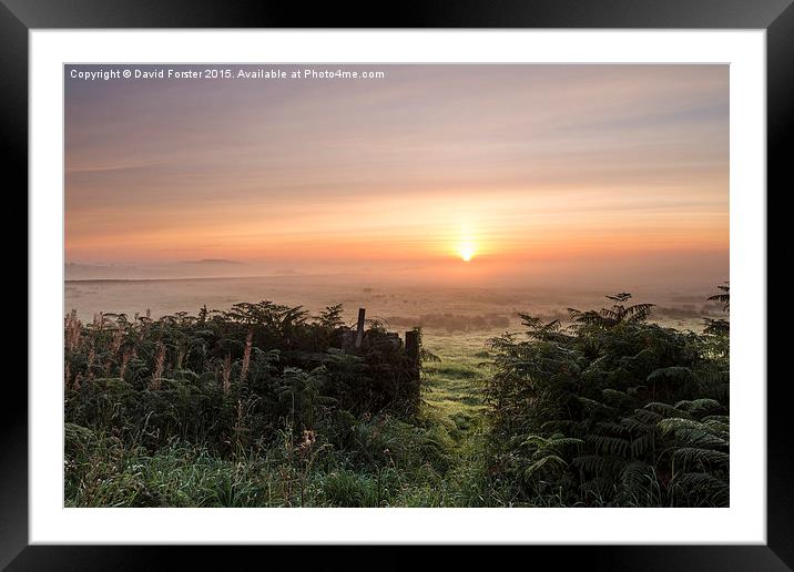 Misty Moorland Sunrise Teesdale County Durham  Framed Mounted Print by David Forster