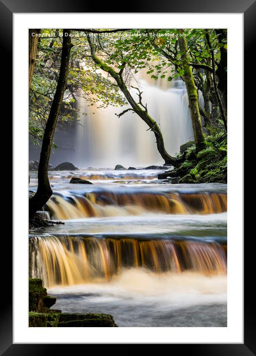 Summerhill Force, Bowlees, Teesdale, County Durham Framed Mounted Print by David Forster