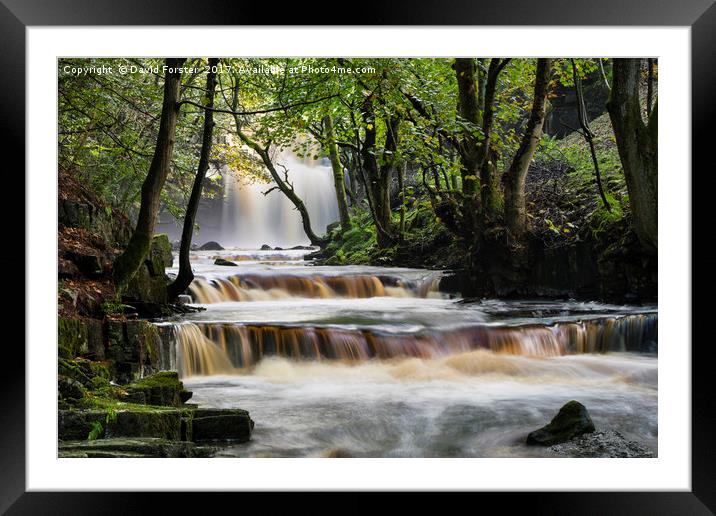 Summerhill Force, Bowlees, Teesdale, County Durham Framed Mounted Print by David Forster
