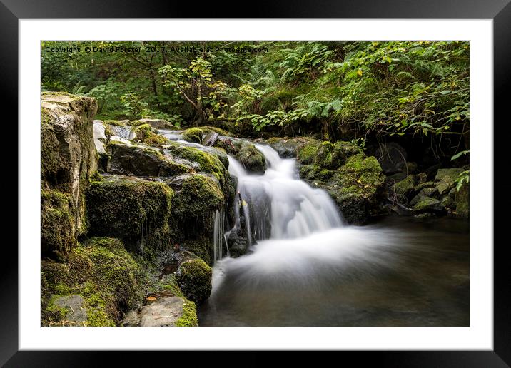 Waterfall, Hudeshope Beck, Teesdale Framed Mounted Print by David Forster