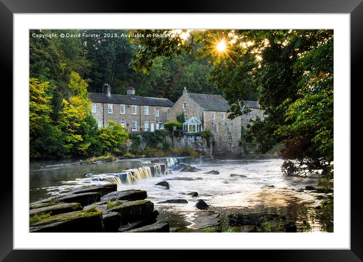 Early Autumn Sun on the River Tees, Barnard Castle Framed Mounted Print by David Forster