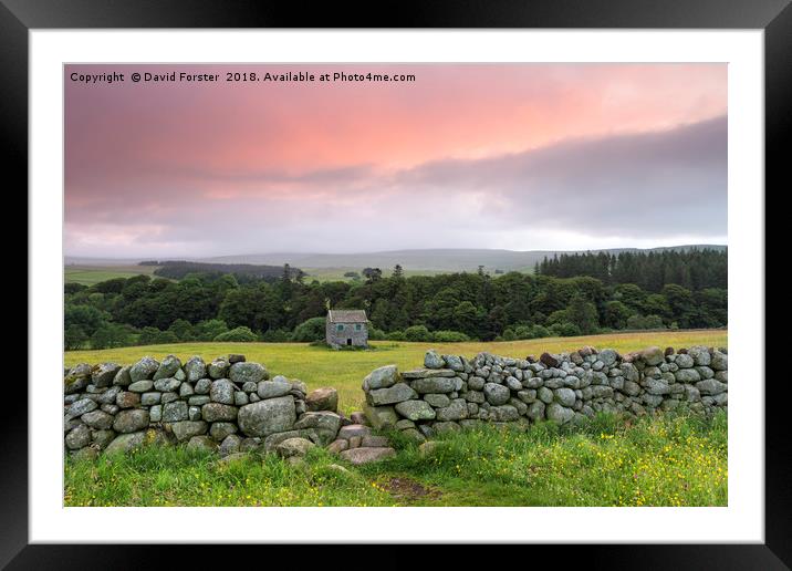 Wild Flower Hay Meadow and Barn in the North Penni Framed Mounted Print by David Forster