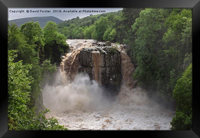 High Force Waterfall in Flood Upper Teesdale  Framed Print by David Forster