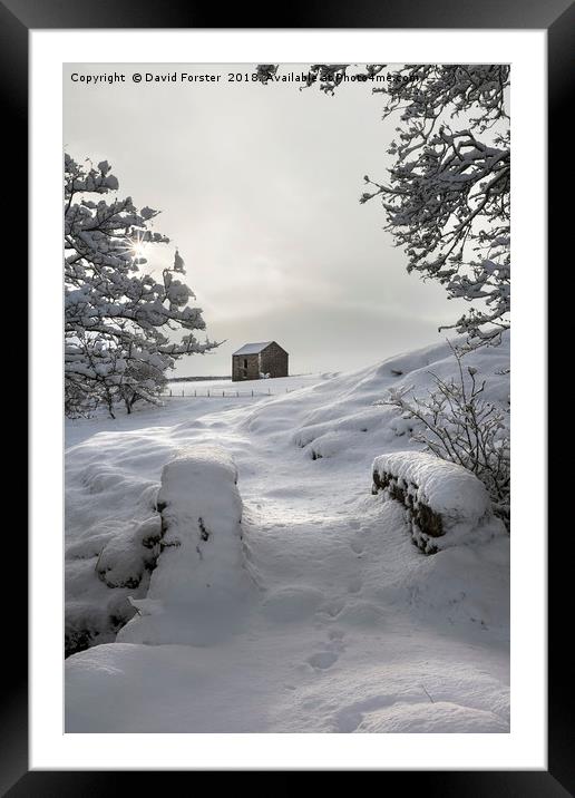 North Pennine Winter Wonderland Framed Mounted Print by David Forster