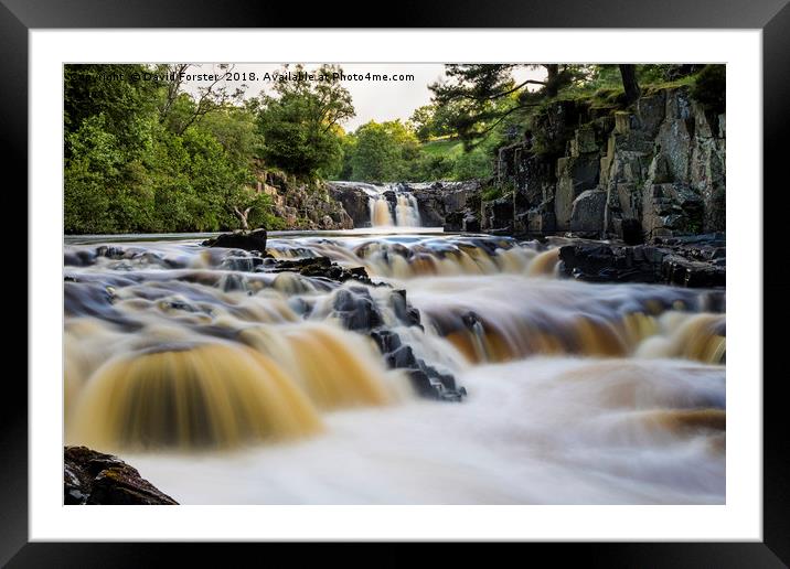 The River Tees at Low Force, Upper Teesdale. Framed Mounted Print by David Forster