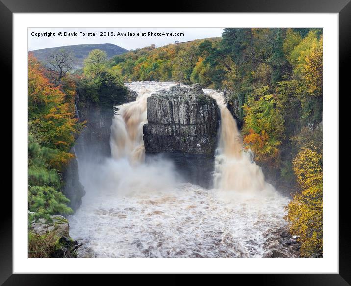 High Force Autumn Framed Mounted Print by David Forster