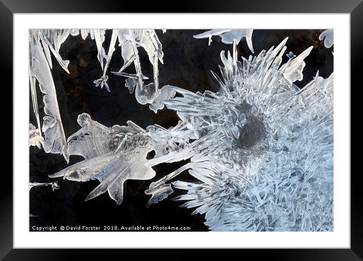 River Ice Crystals  Framed Mounted Print by David Forster
