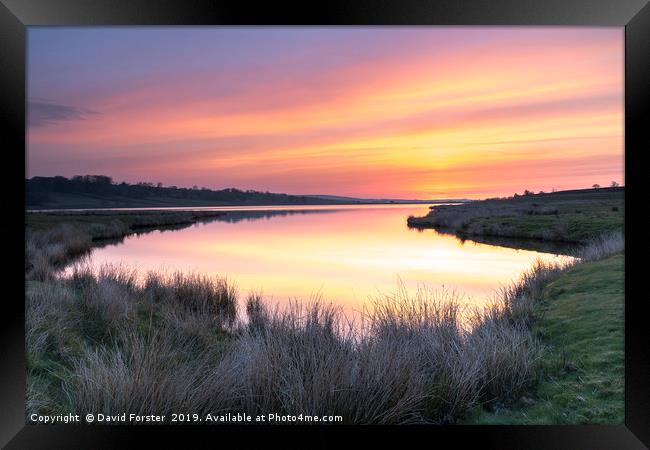 Tranquil Dawn Colours Framed Print by David Forster