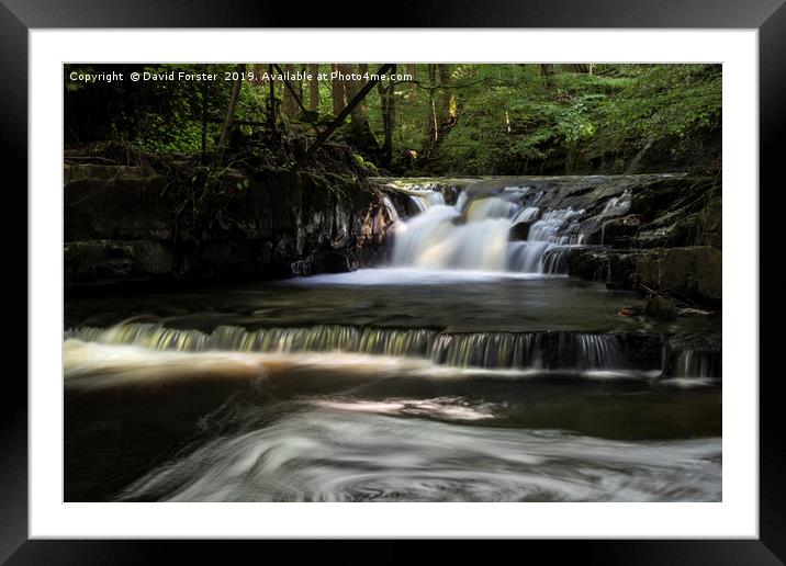 Dappled Light on Hudeshope Beck Falls Framed Mounted Print by David Forster