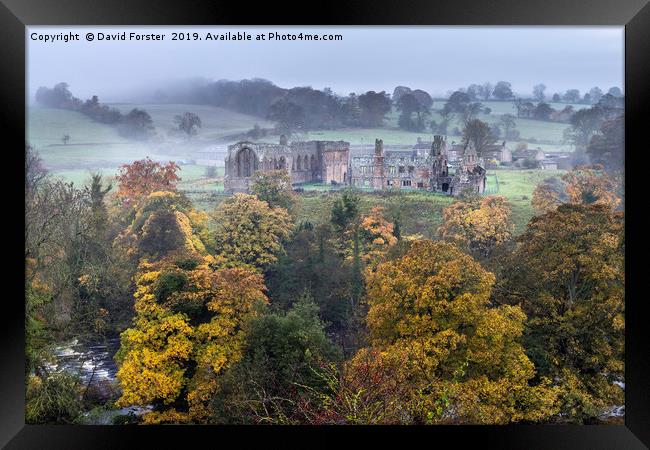 Autumn Colours Egglestone Abbey, Barnard Castle, T Framed Print by David Forster