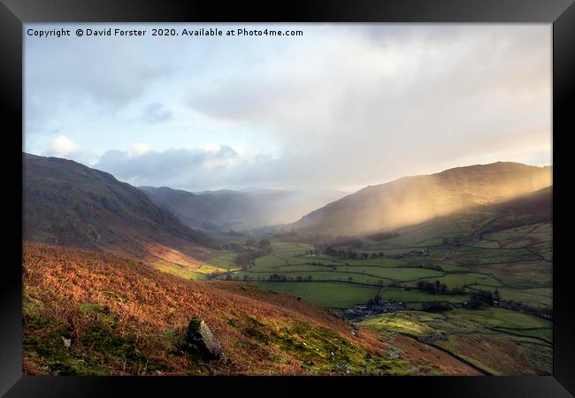  Great Langdale Light, Lake District Framed Print by David Forster