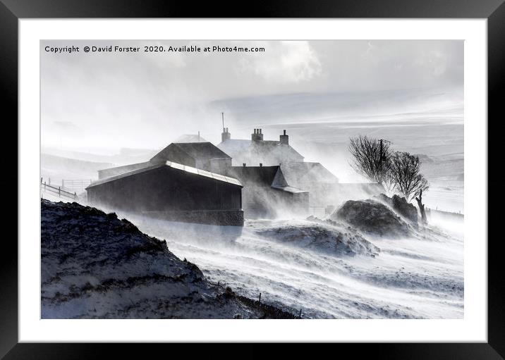 North Pennine Farmstead Blizzard, Upper Teesdale,  Framed Mounted Print by David Forster