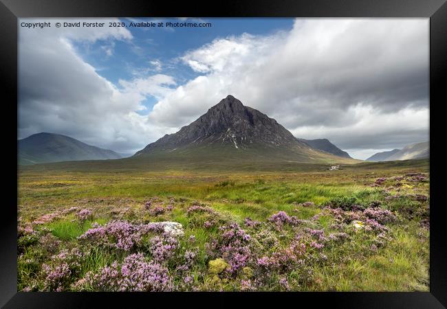 Clearing Summer Storm Buachaille Etive Mor Scotlan Framed Print by David Forster