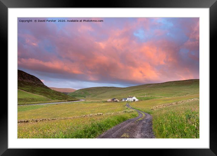 North Pennine Dawn, Teesdale, County Durham Framed Mounted Print by David Forster