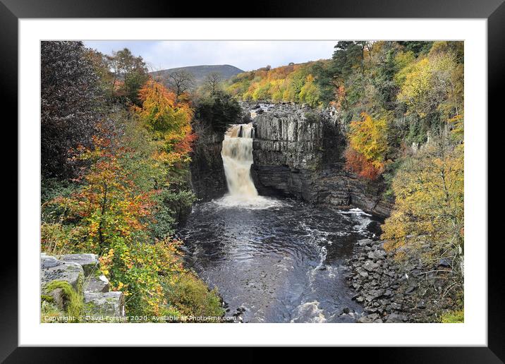 Autumn High Force, Upper Teesdale, County Durham, UK Framed Mounted Print by David Forster