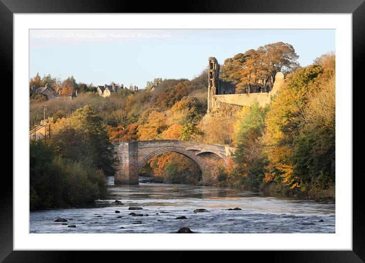 The River Tees, Barnard Castle in Autumn, Teesdale, County Durham, UK Framed Mounted Print by David Forster