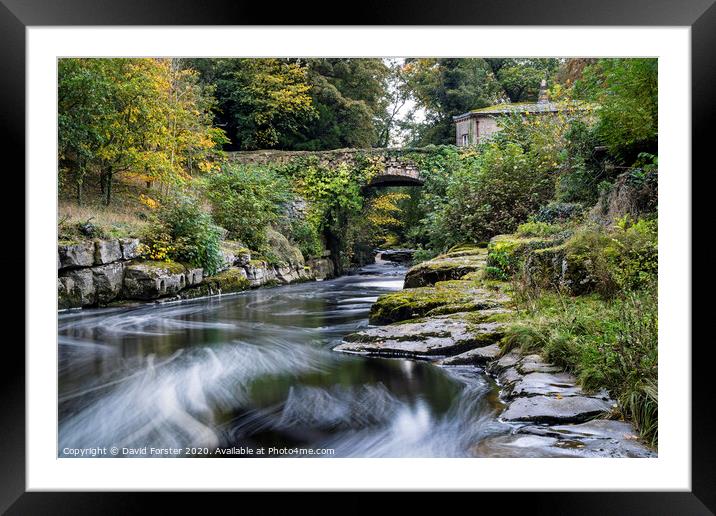 The Dairy Bridge and the River Greta in Autumn, Barnard Castle, County Durham.   Framed Mounted Print by David Forster