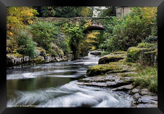 The Dairy Bridge and the River Greta in Autumn, Barnard Castle, County Durham.   Framed Print by David Forster