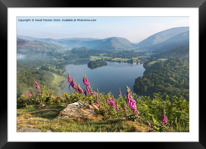 Foxglove Flowers and Grasmere Lake District, Cumbria, UK Framed Mounted Print by David Forster