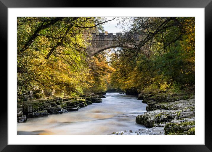Abbey Bridge and the River Tees Near Barnard Castle in Autumn Framed Mounted Print by David Forster